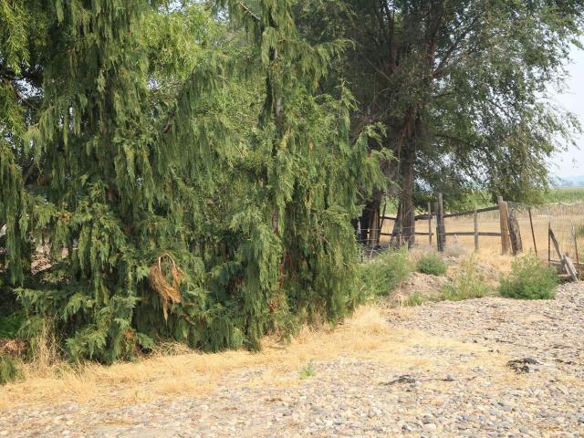 Land for sale in Owyhee, Idaho