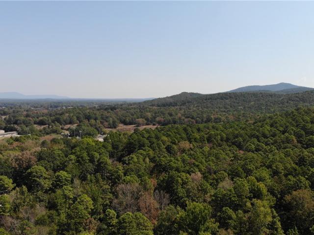 Land for sale in Danville, Yell County