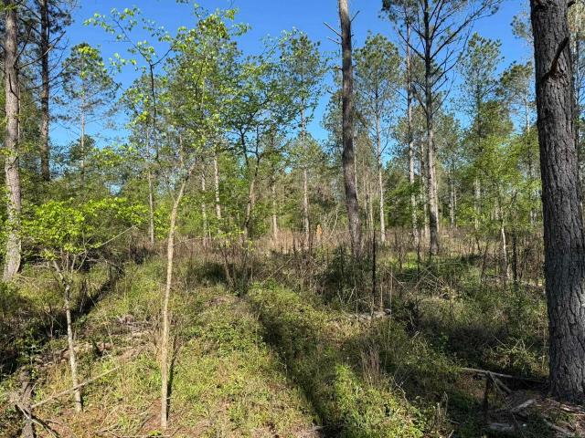 Land for sale in Ark