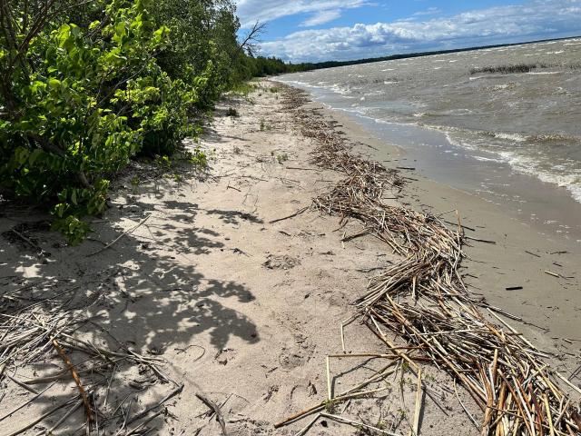Land for sale in Beltrami, Minnesota