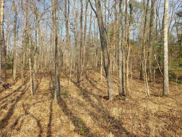 Land for sale in Oden, Montgomery County