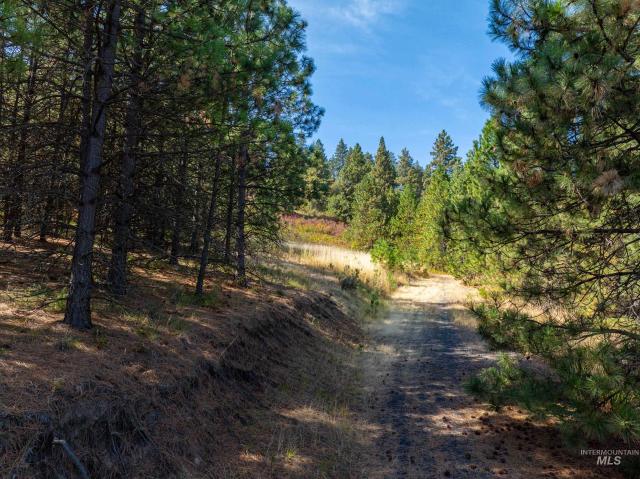 Land for sale in Moscow, Idaho