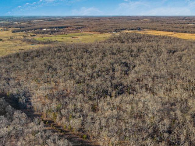 Land for sale in Laclede, Missouri