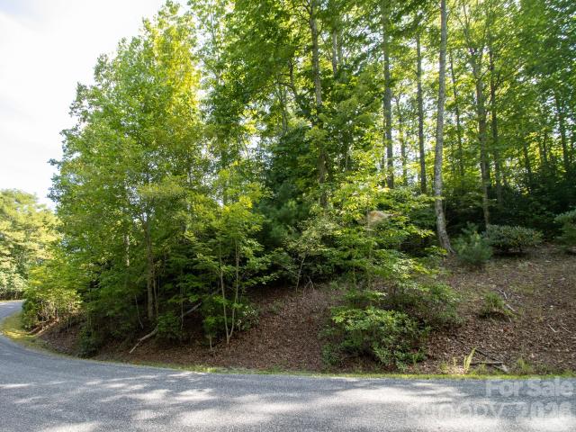 Land for sale in Transylvania, North Carolina