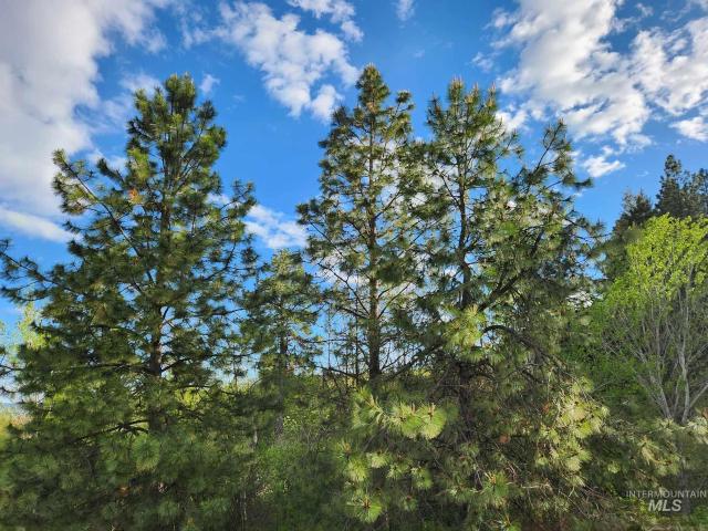 Land for sale in Moscow, Idaho