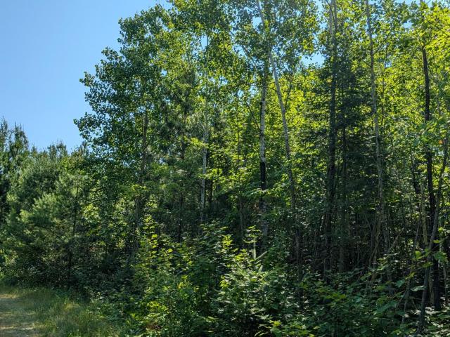 Land for sale in Minnesota