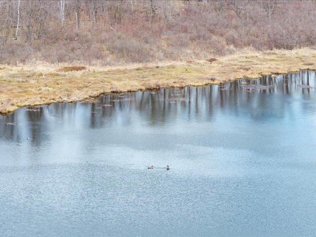 Land for sale in Hackensack, Minnesota