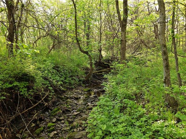 Land for sale in Gallatin, Missouri