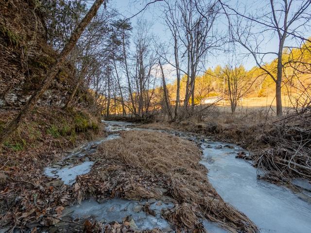 Land for sale in Virginia