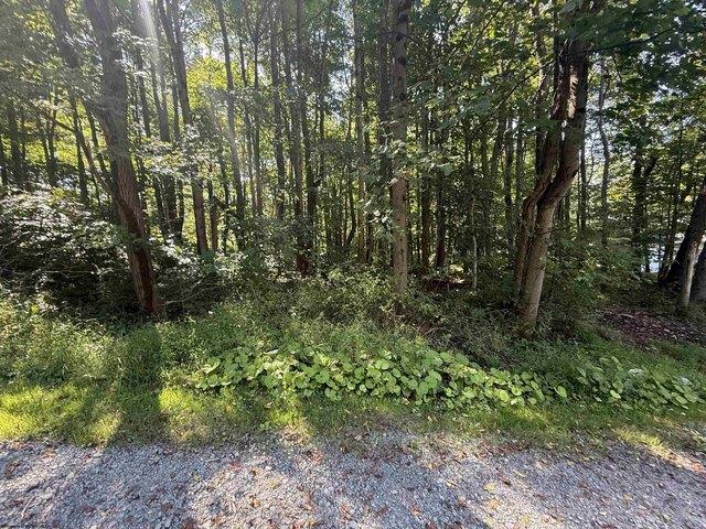 Land for sale in Kingwood, West Virginia