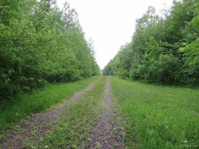 Land for sale in Michigan