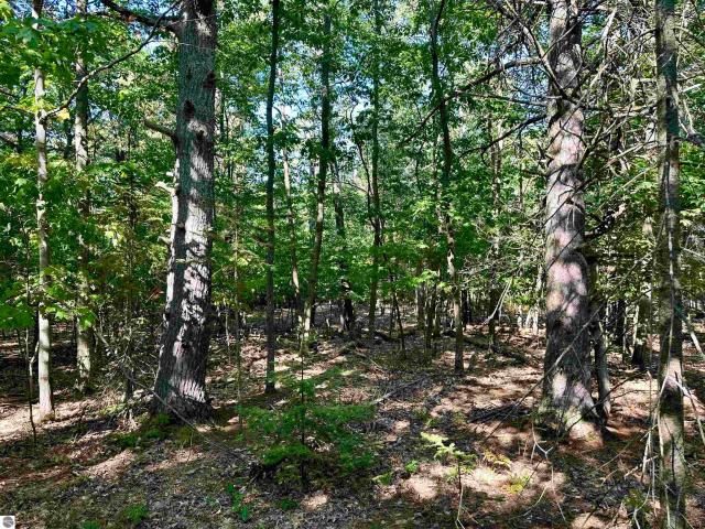 Land for sale in Michigan