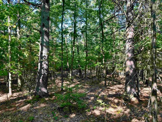 Land for sale in Michigan