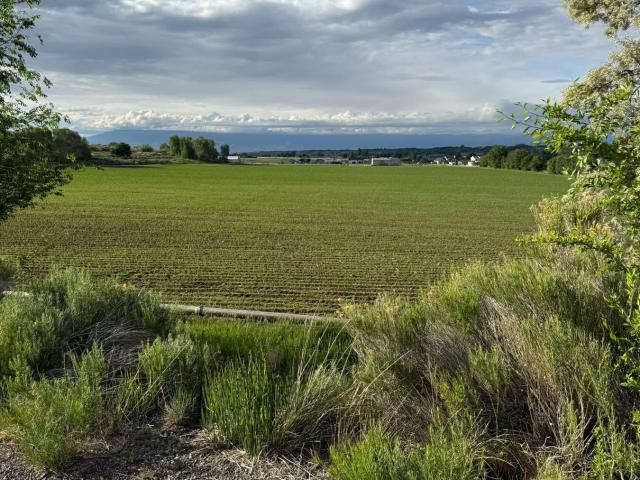 Land for sale in Montrose, Colorado