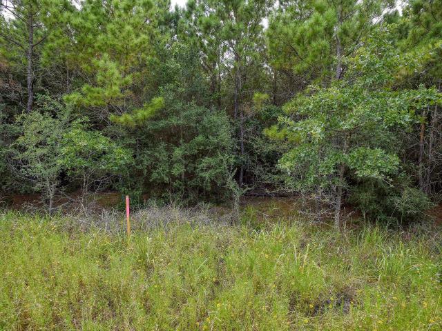Land for sale in Bastrop, Texas