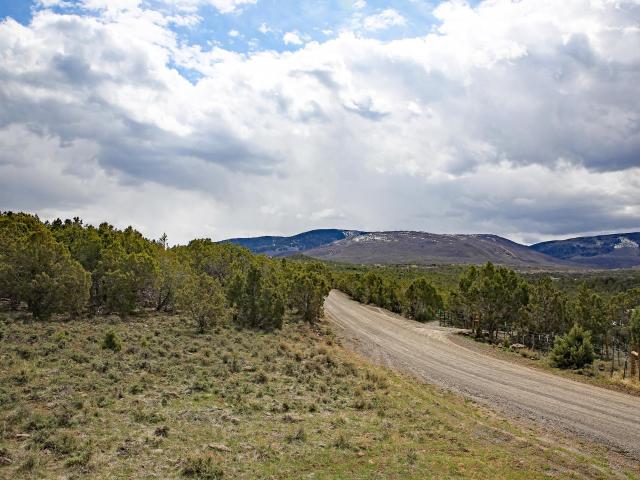 Land for sale in Collbran, Colorado