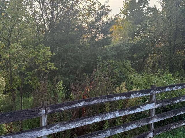Land for sale in Virginia