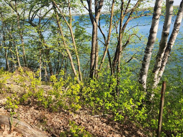 Land for sale in Pelican Rapids, Minnesota