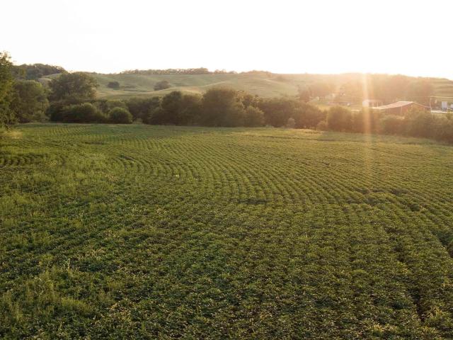 Farm for sale in Thurman, Iowa