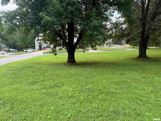 Land for sale in Marion, Illinois