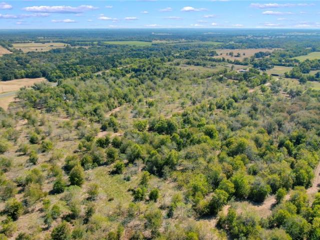 Land for sale in Chriesman, Texas