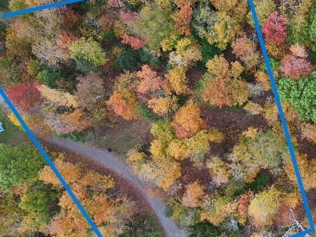 Land for sale in East Jewett, New York