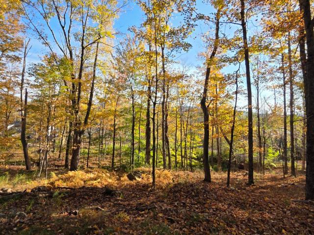 Land for sale in East Jewett, New York