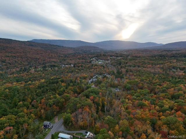 Land for sale in East Jewett, New York