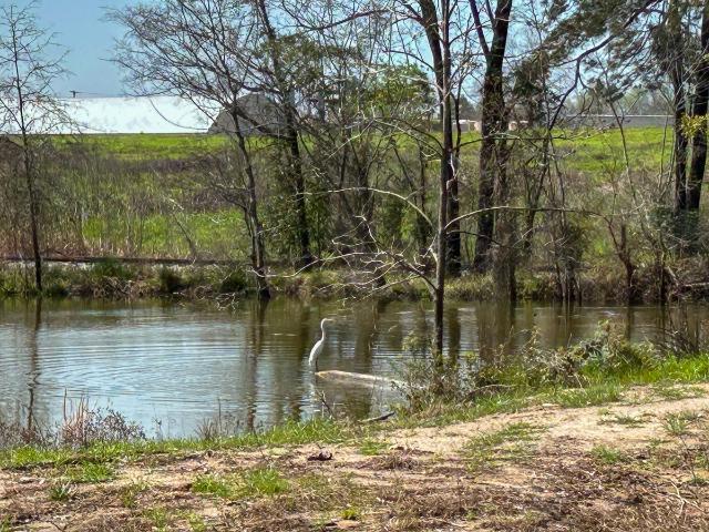 Land for sale in Lufkin, Texas