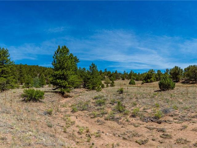 Land for sale in Colorado