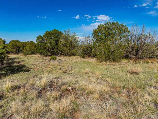 Land for sale in Colorado
