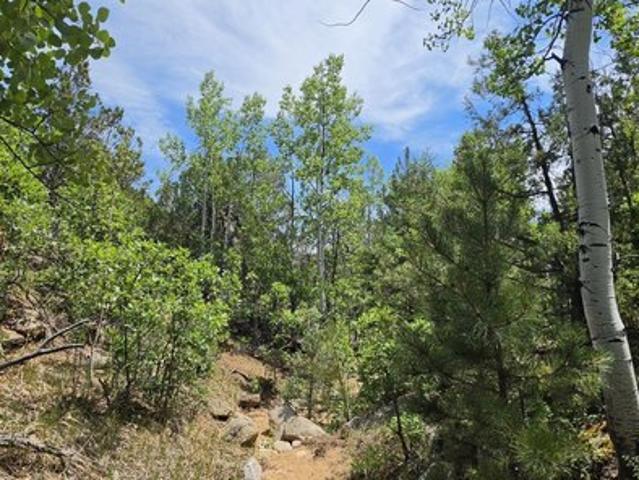 Land for sale in Cotopaxi, Colorado