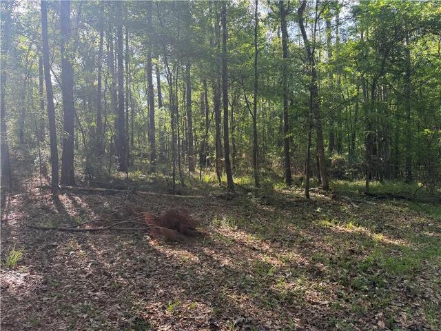 Land for sale in Olla, LaSalle Parish