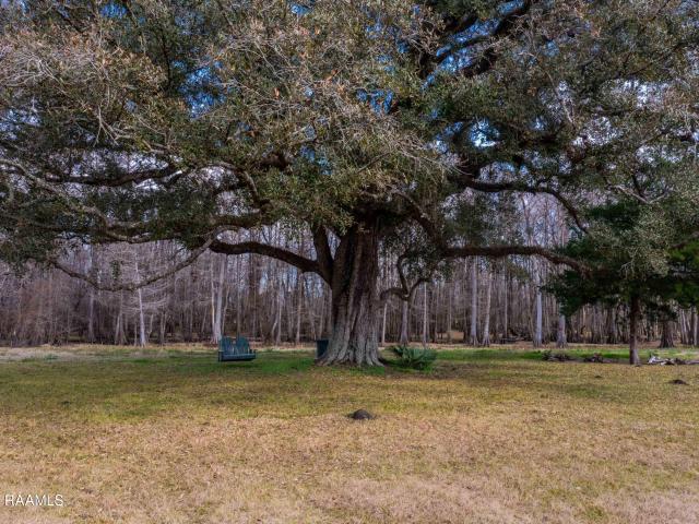 Property for sale in Leonville, Louisiana