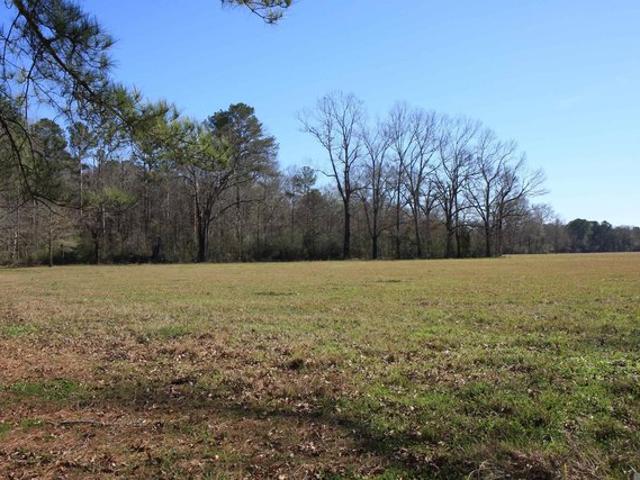 Land for sale in Ethel, Louisiana