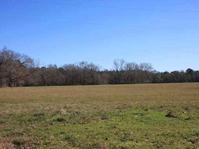 Land for sale in Ethel, Louisiana