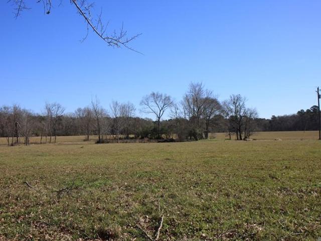 Land for sale in Ethel, Louisiana