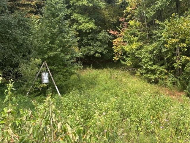 Land for sale in Ark
