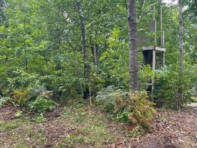 Land for sale in Pequot Lakes, Cass County