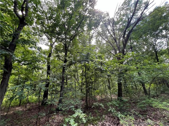 Land for sale in Stover, Missouri