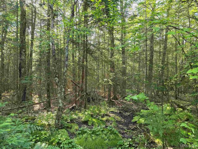 Land for sale in Deerton, Michigan