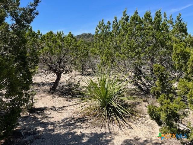 Land for sale in Pipe Creek, Texas