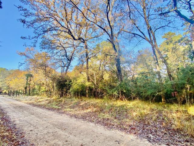 Land for sale in Crockett, Texas