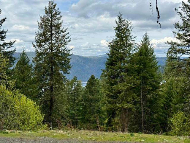 Land for sale in Orofino, Idaho