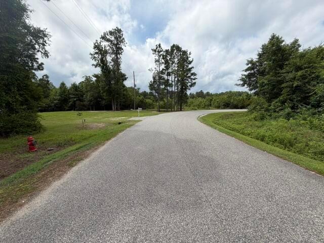 Land for sale in Manning, South Carolina