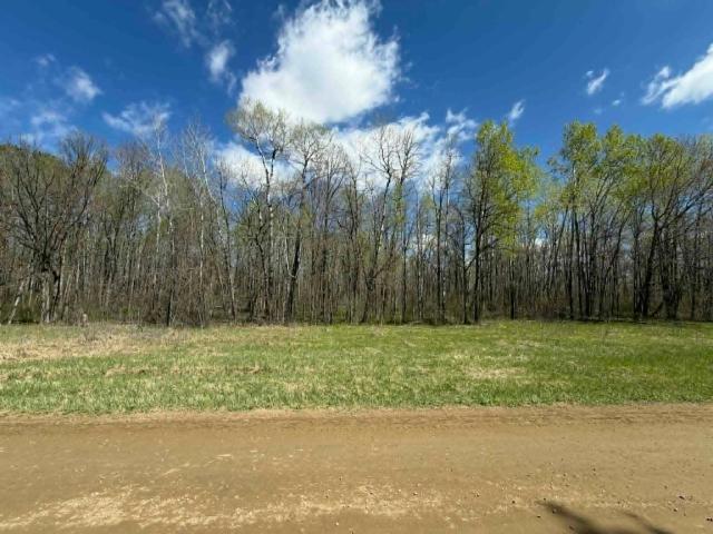 Land for sale in Beltrami, Minnesota