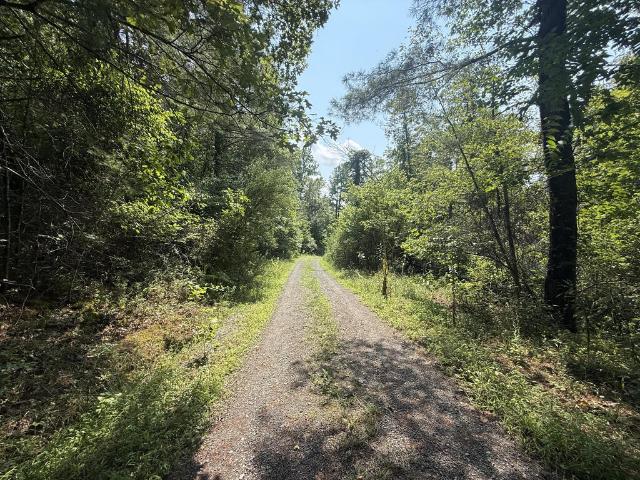 Land for sale in Max Meadows, Wythe County