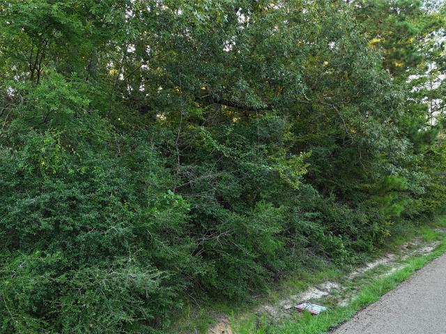Land for sale in Onalaska, Polk County