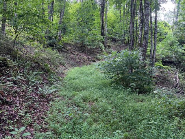 Land for sale in Tennessee
