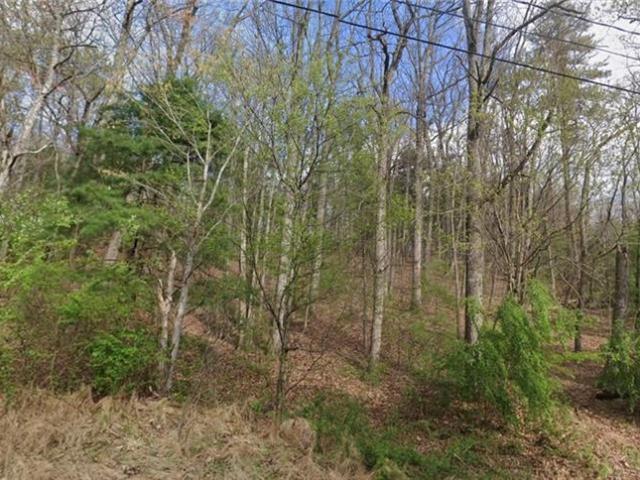 Land for sale in Millers Creek, North Carolina